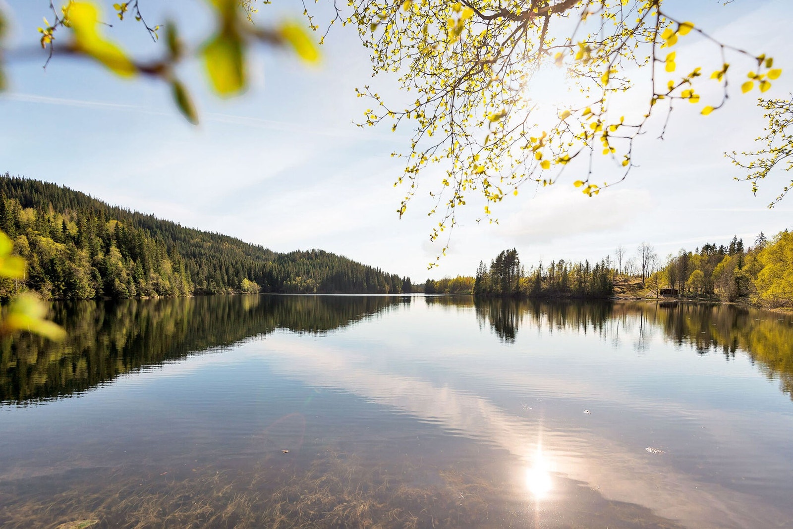 Det er kort vei til Estenstadmarka med sine fine turmuligheter. Galleribilde