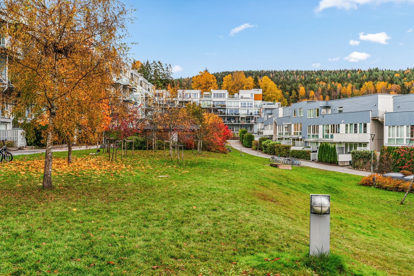 Høst i Årvollskogen. Om ikke ligger snøen her og parken blir benyttet som en arena for lek, aking og ski Galleribilde