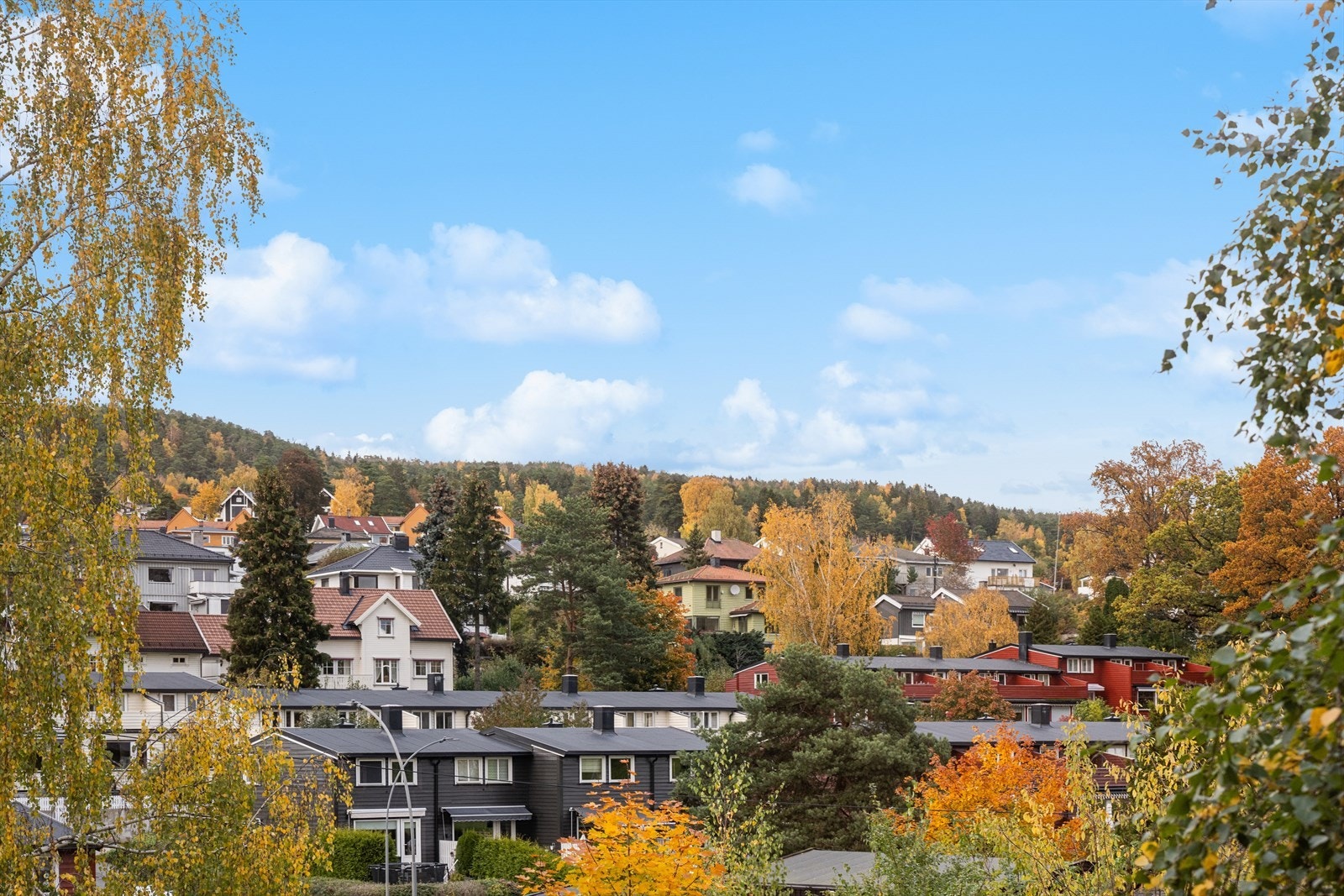 Fin utsikt mot nærområdets frodige omgivelser Galleribilde