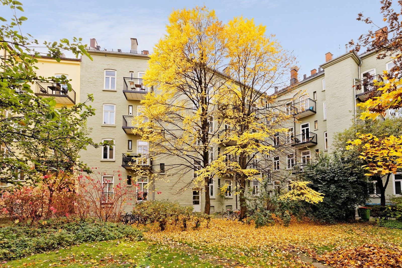 Bakgården fremstår som svært lekker med store trær som rammer naturen inn, og gir et godt inntrykk av den klassiske bygården Galleribilde