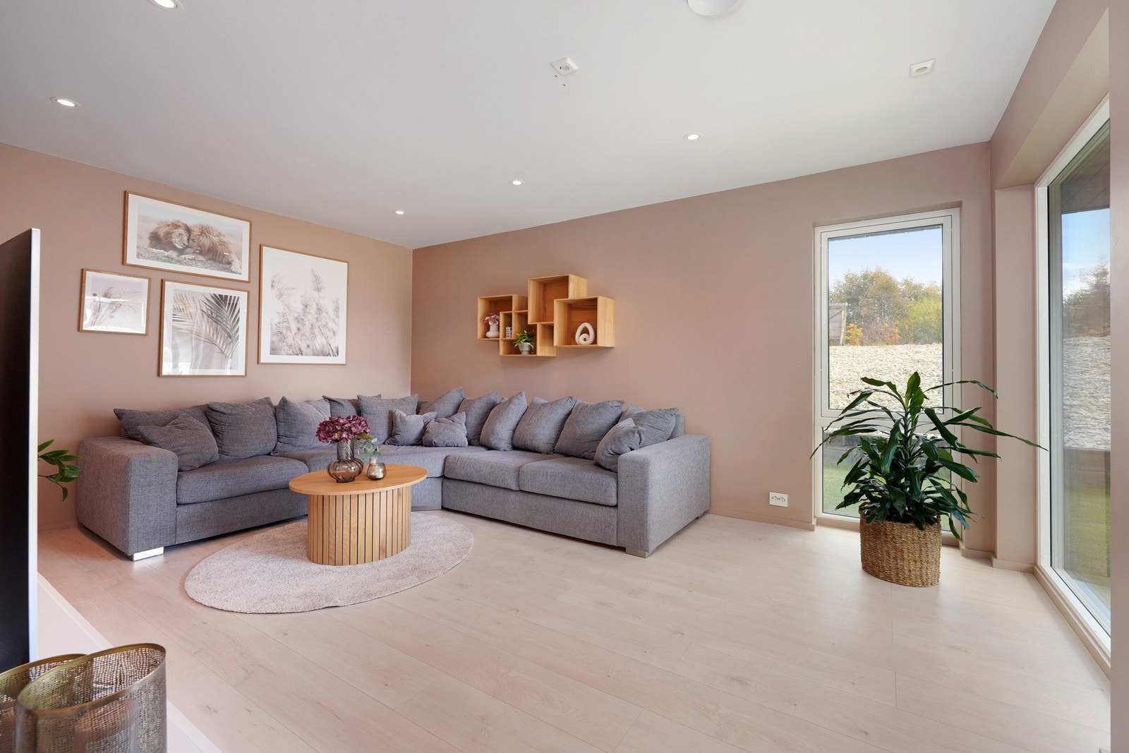 Tv-stue/soverom. Galleribilde