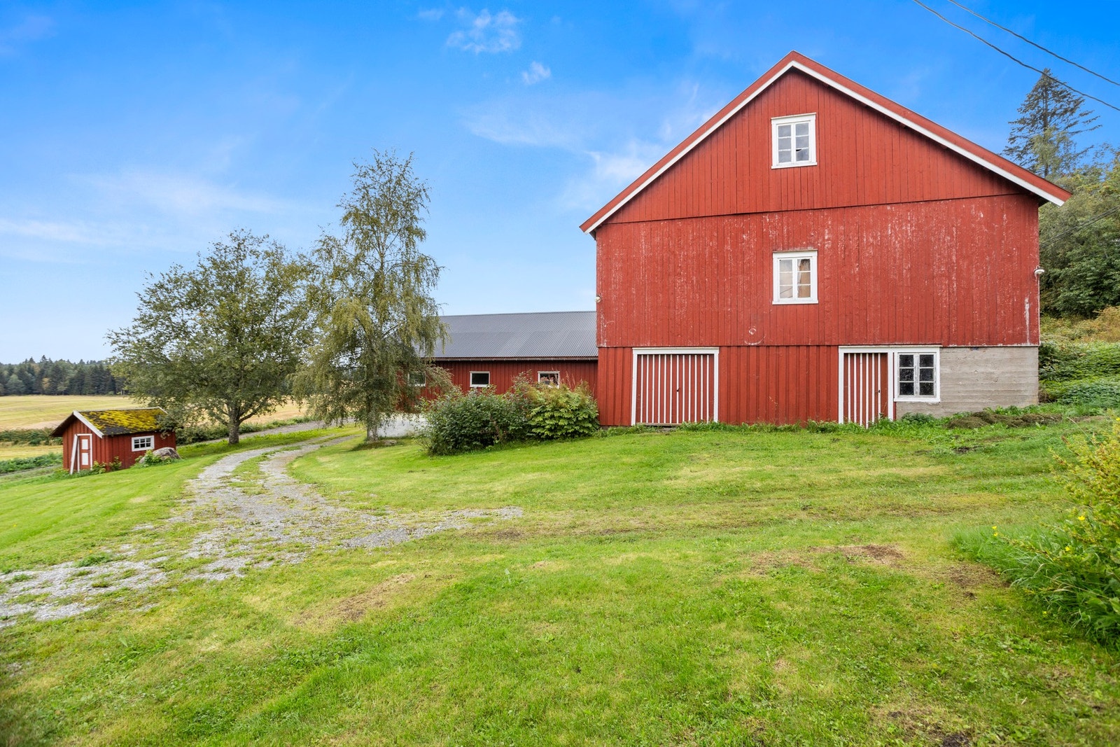 Fjøs - 875 kvm. Uinnredet fjøsrom og låve. Galleribilde