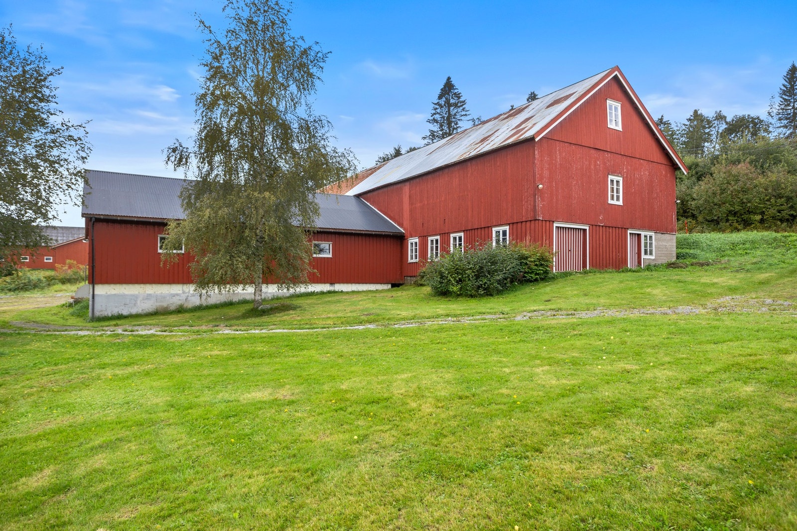 Fjøs Galleribilde