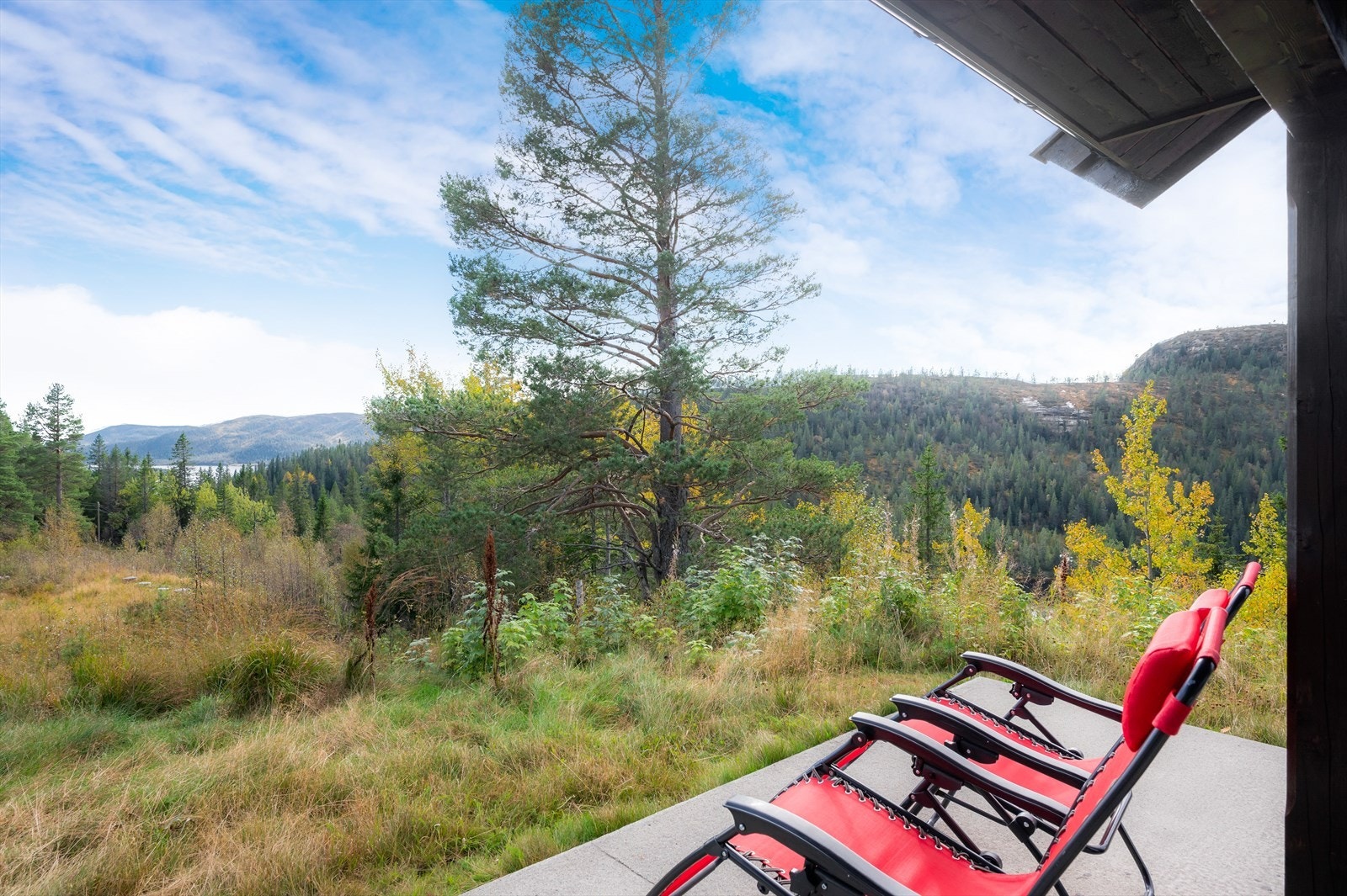 Uteplass Galleribilde