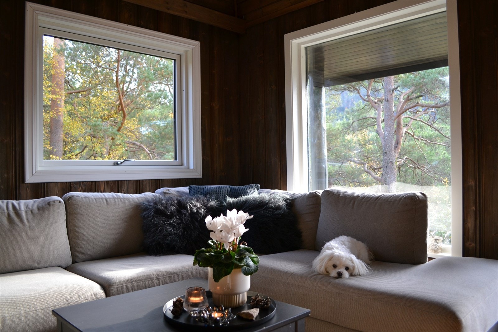 Vinduene sørger for rikelig med naturlig lys. Dette i kombinasjon med den god takhøyden gir en fantastisk romfølelse. Galleribilde