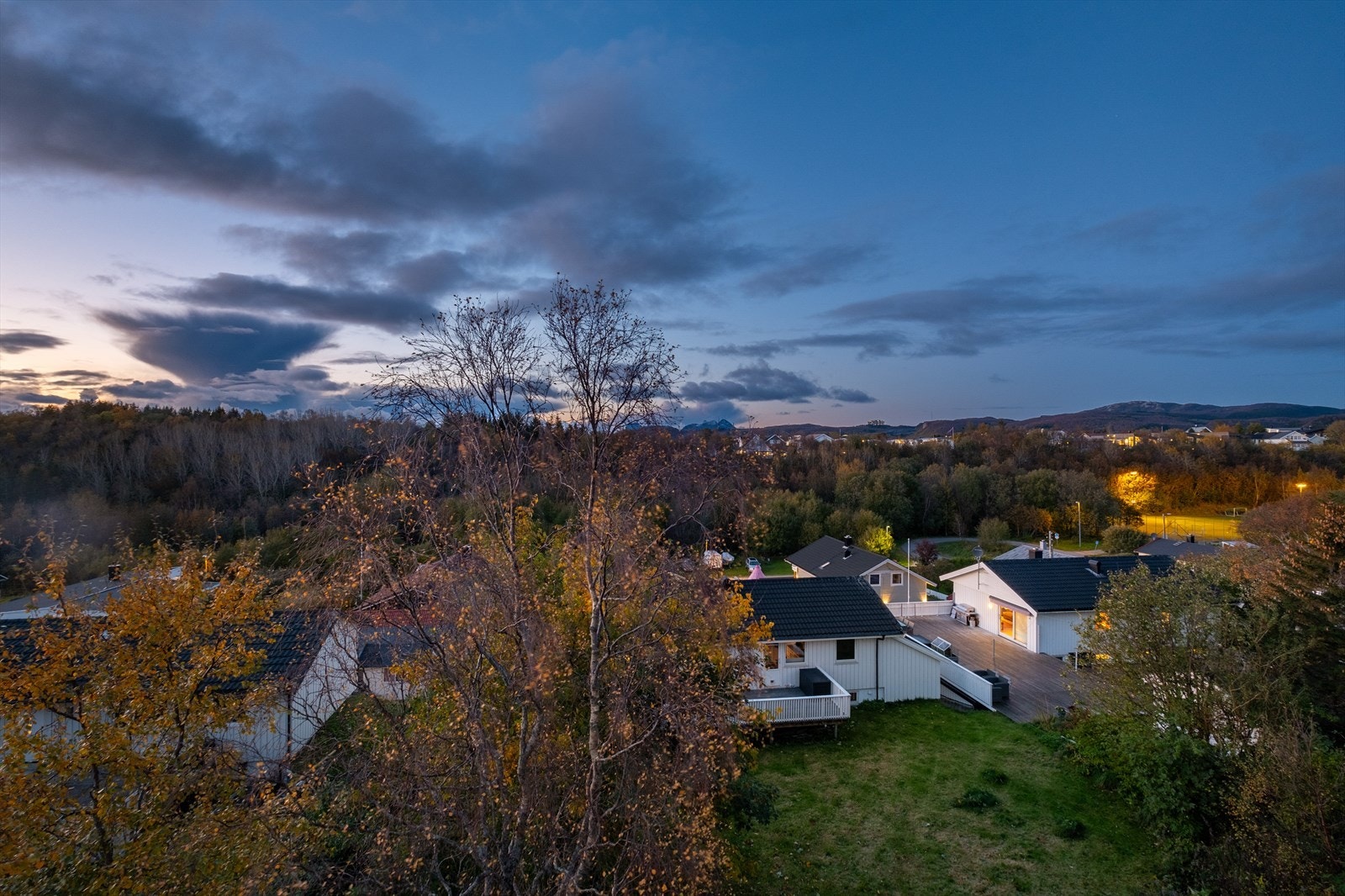 Utsikt mot nord Galleribilde