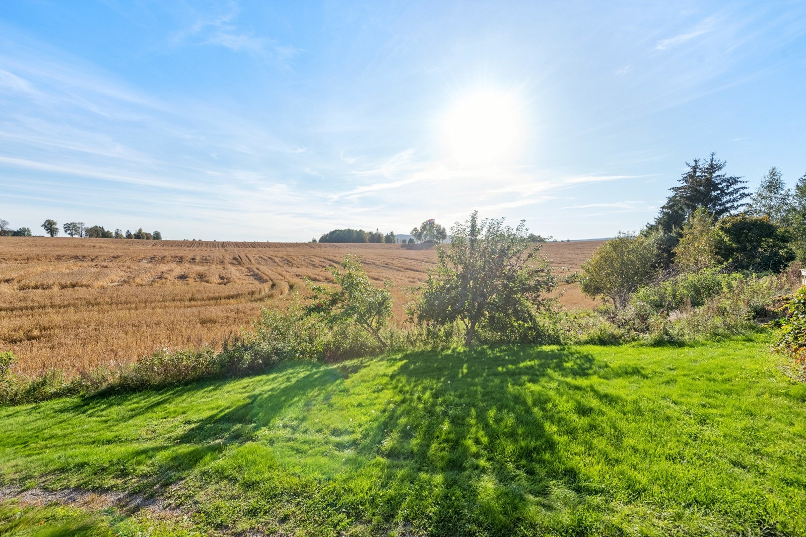Utsikten er helt fantastisk. Galleribilde