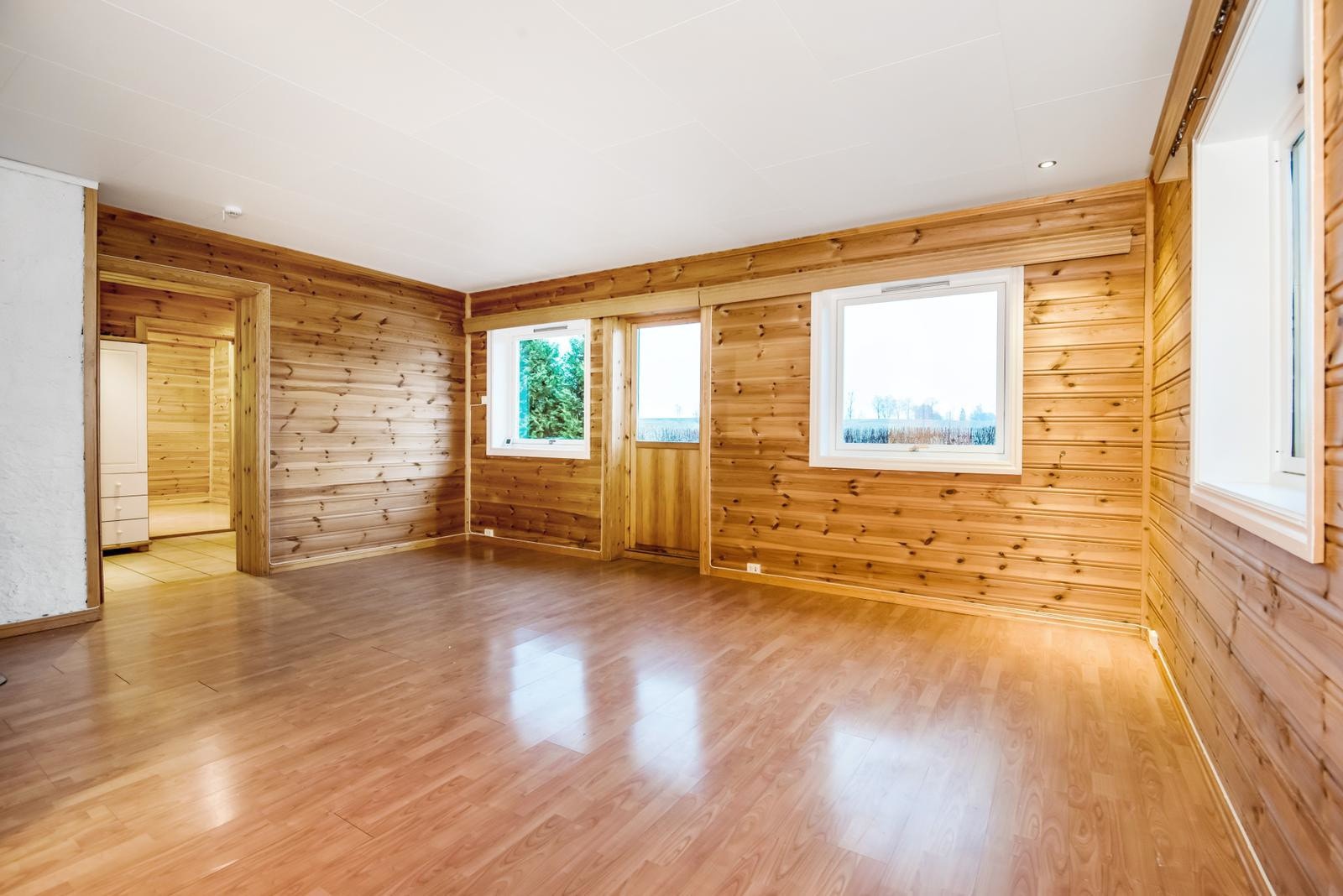 Romslig hybel med lyse flater og trepanel, store vinduer som gir mye naturlig lys. Galleribilde