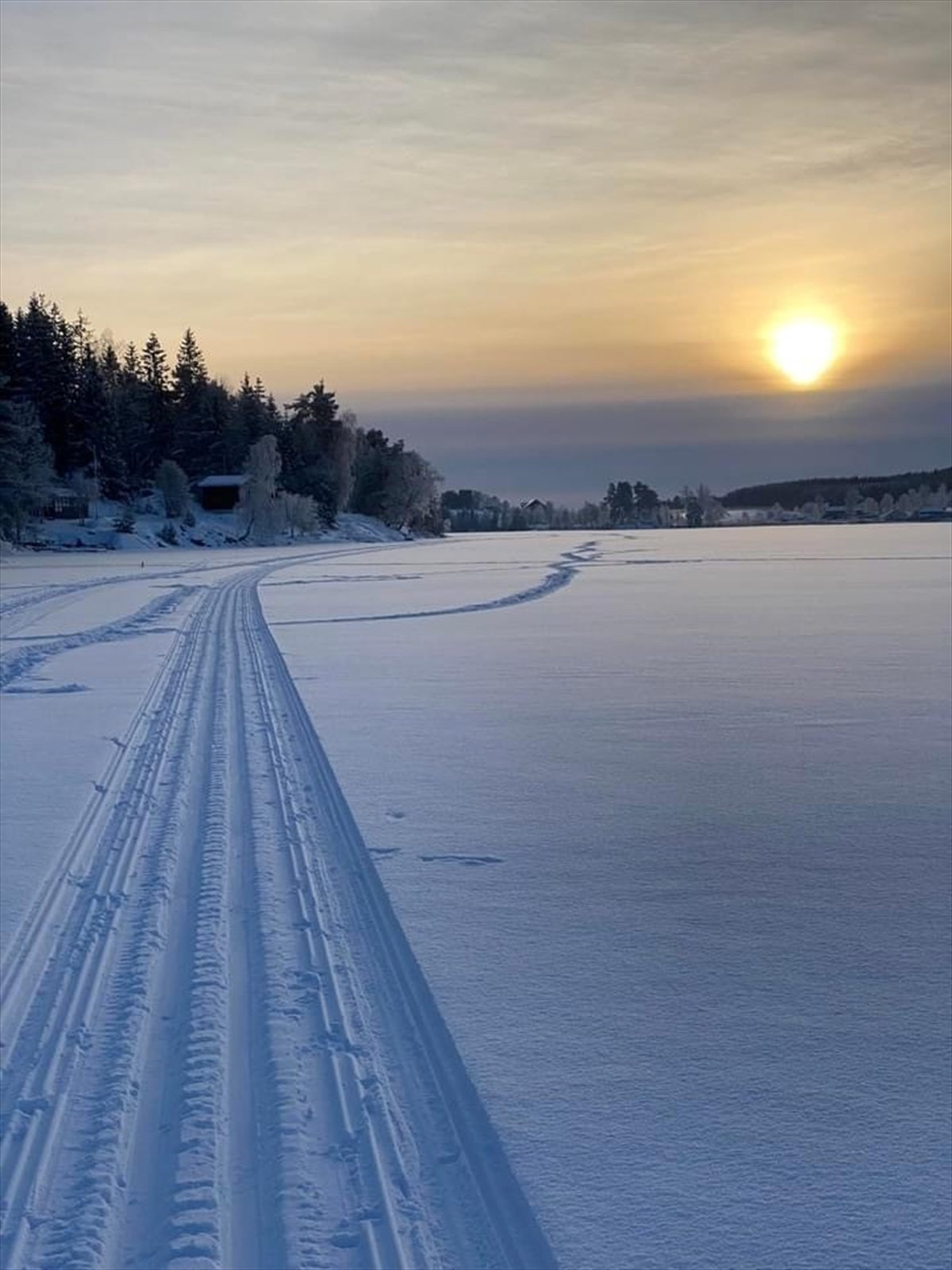 Privat bilde Galleribilde