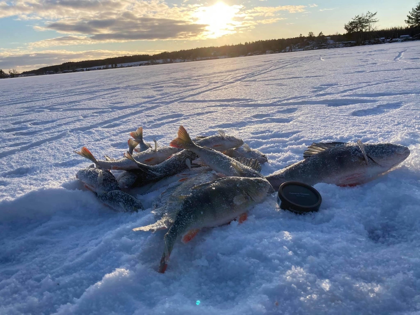 Privat bilde Galleribilde