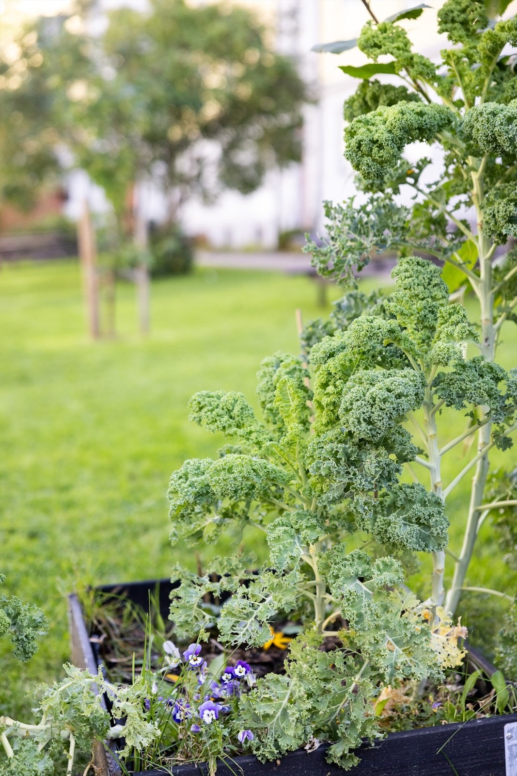 Her bor man sentralt, men allikevel landlig. Galleribilde