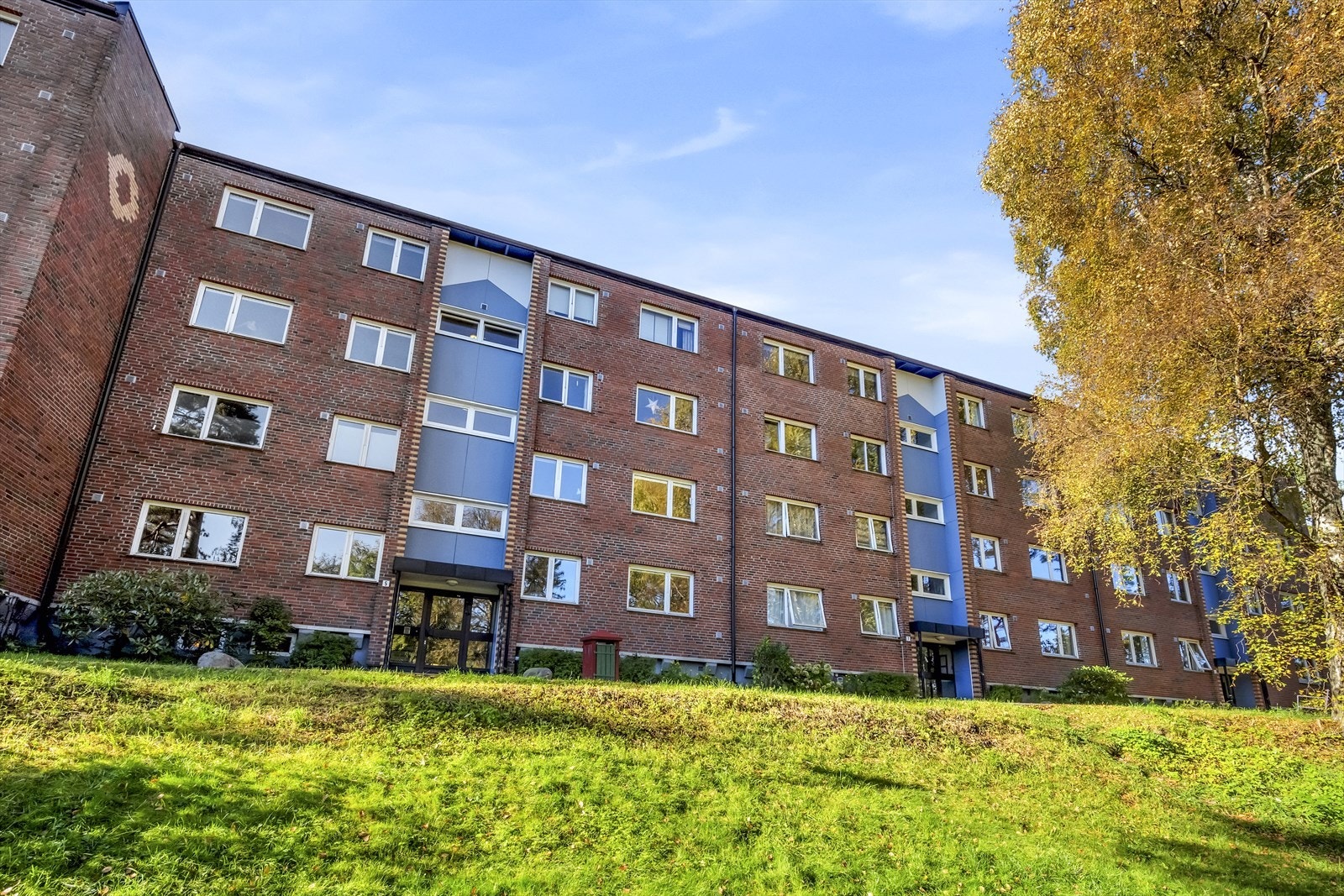 Velkommen til Bølerskogen 5! Galleribilde
