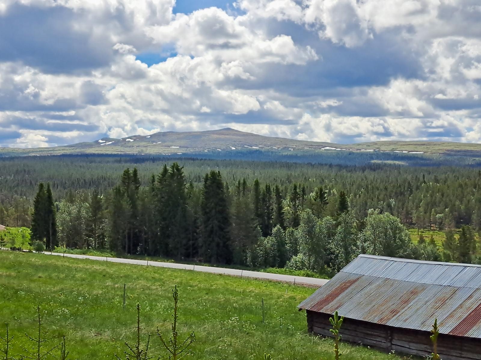 Utsikt sørover mot Kvitvorda fra nordre del av tomtearealet. Galleribilde
