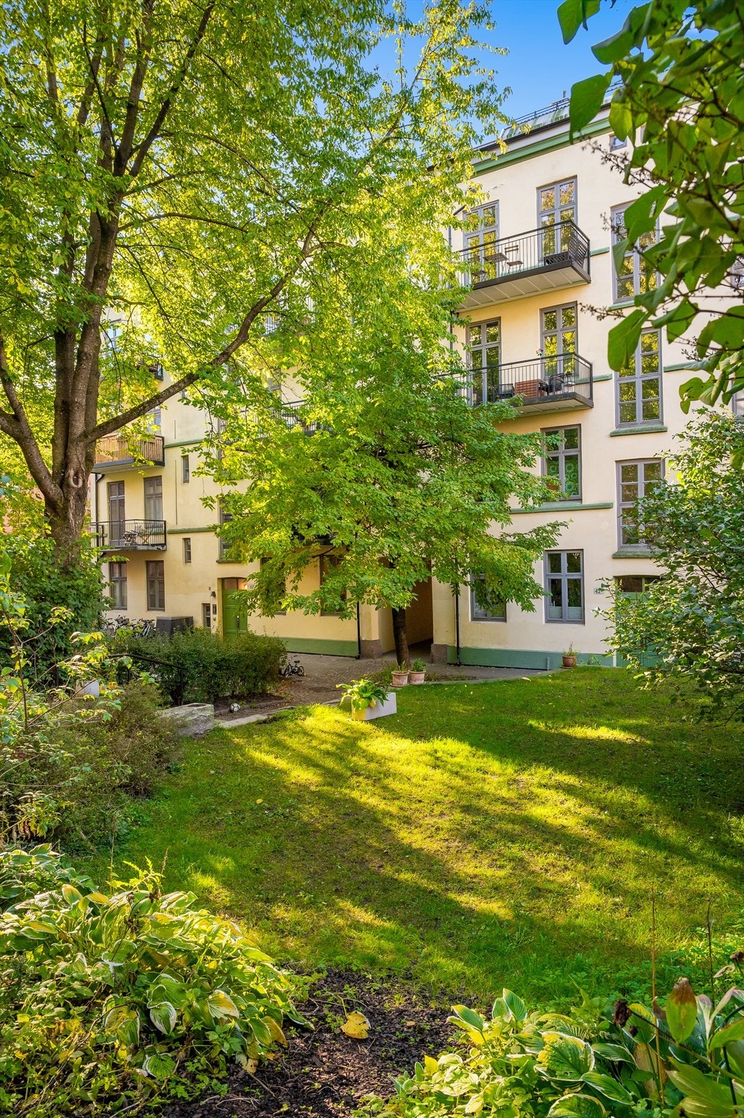 Flotte grøntområdet i borettslagets fellesareal. Galleribilde