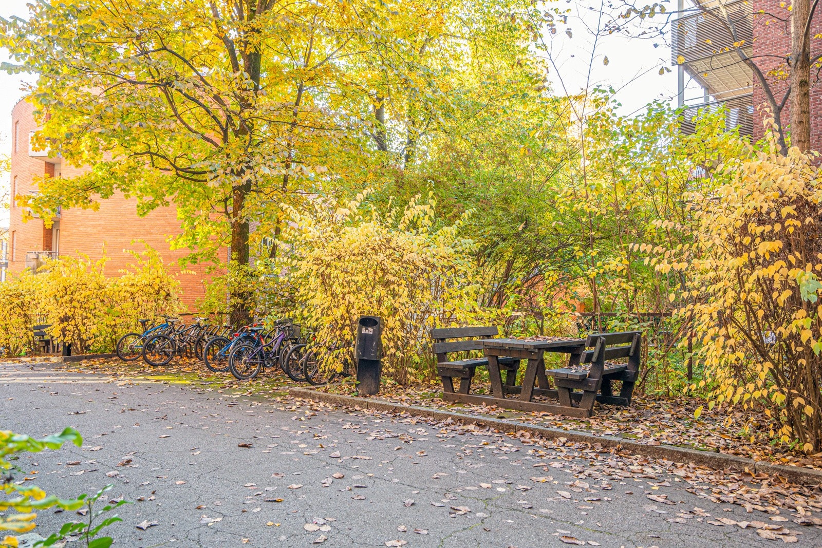 Flotte fellesareal med sykkelparkering og sittegrupper. Galleribilde