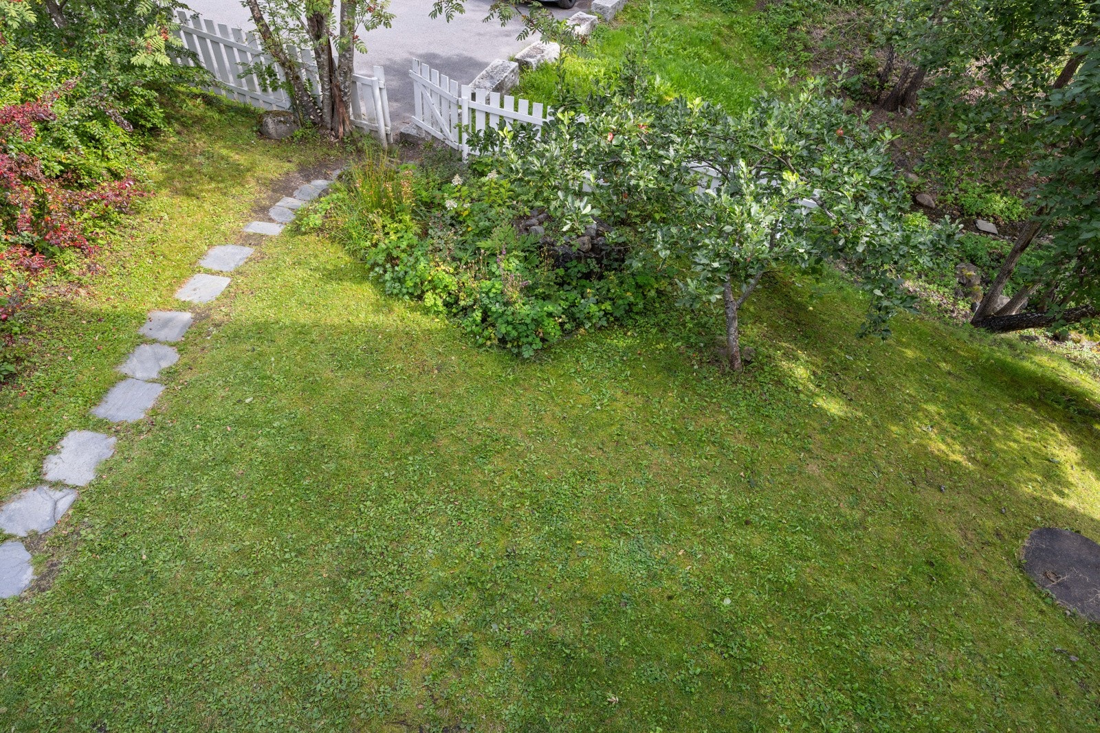 Frukttrær og annen beplantning mellom husene. Galleribilde