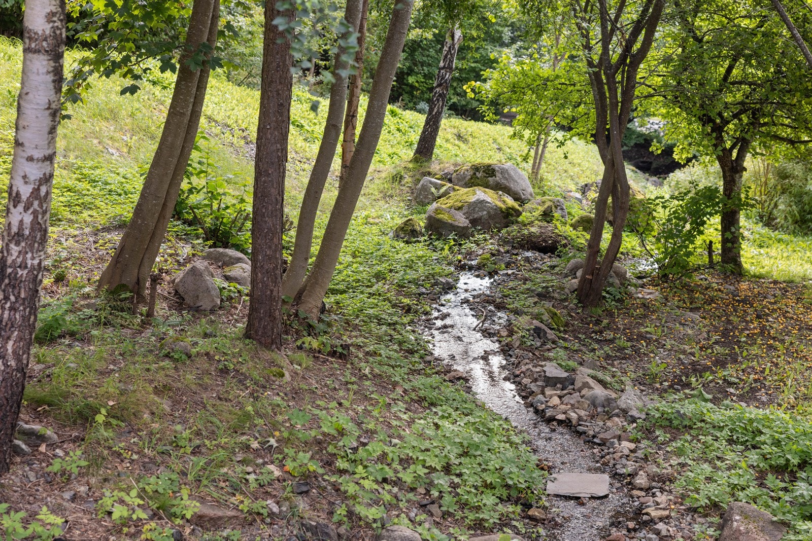 Direkte adkomst til marka. Galleribilde