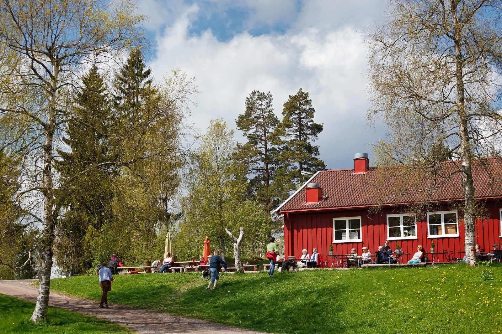Trollvannstua Galleribilde