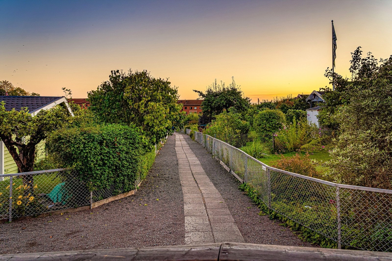 Sjarmerende Rodeløkkens kolonihager. Galleribilde