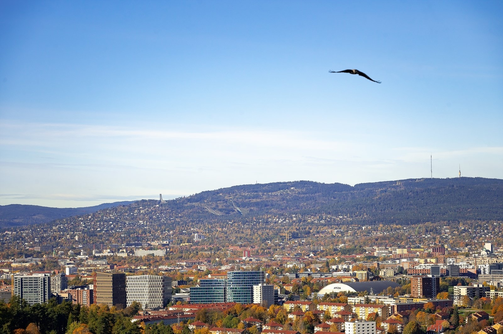 Utsikt som strekker seg helt til Holmenkollen. Galleribilde