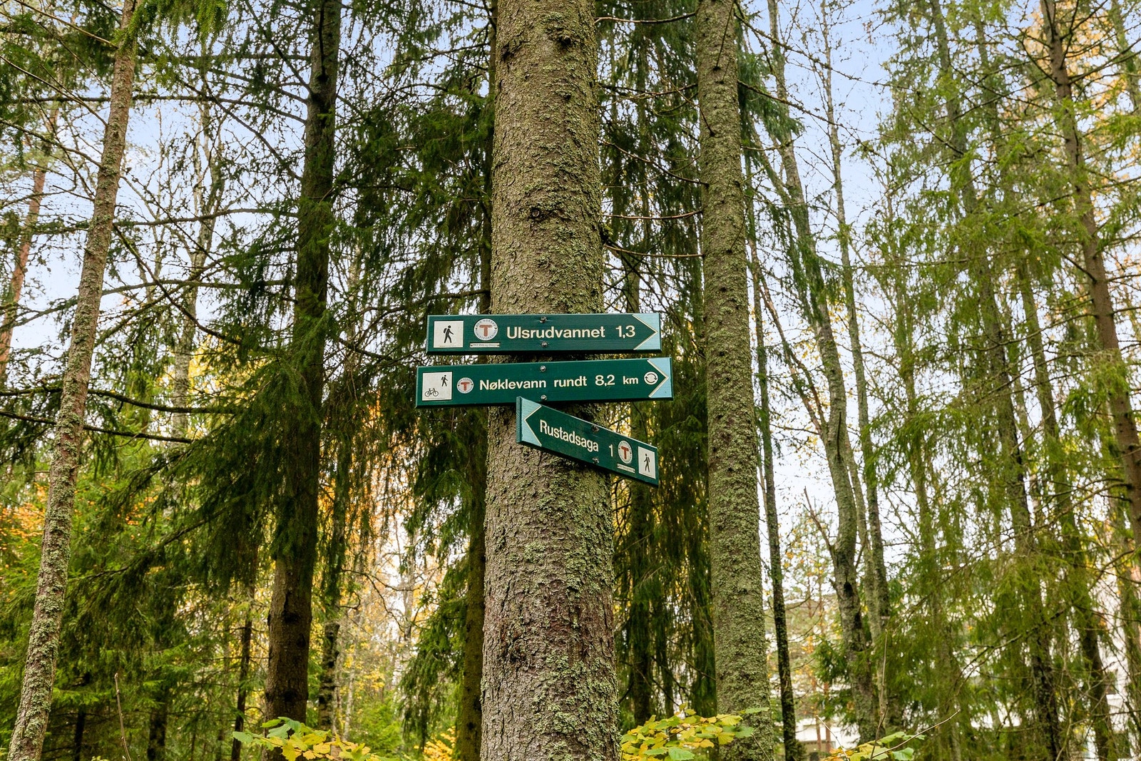 Kort vei til Nøklevann og resten av populære Østmarka Galleribilde