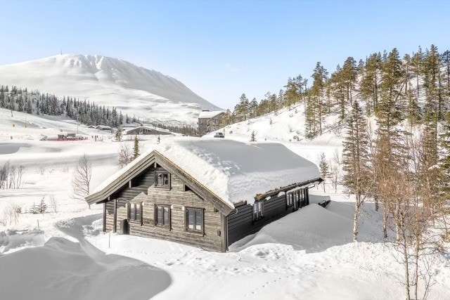 Utsikt mot den magiske Gaustatoppen Galleribilde