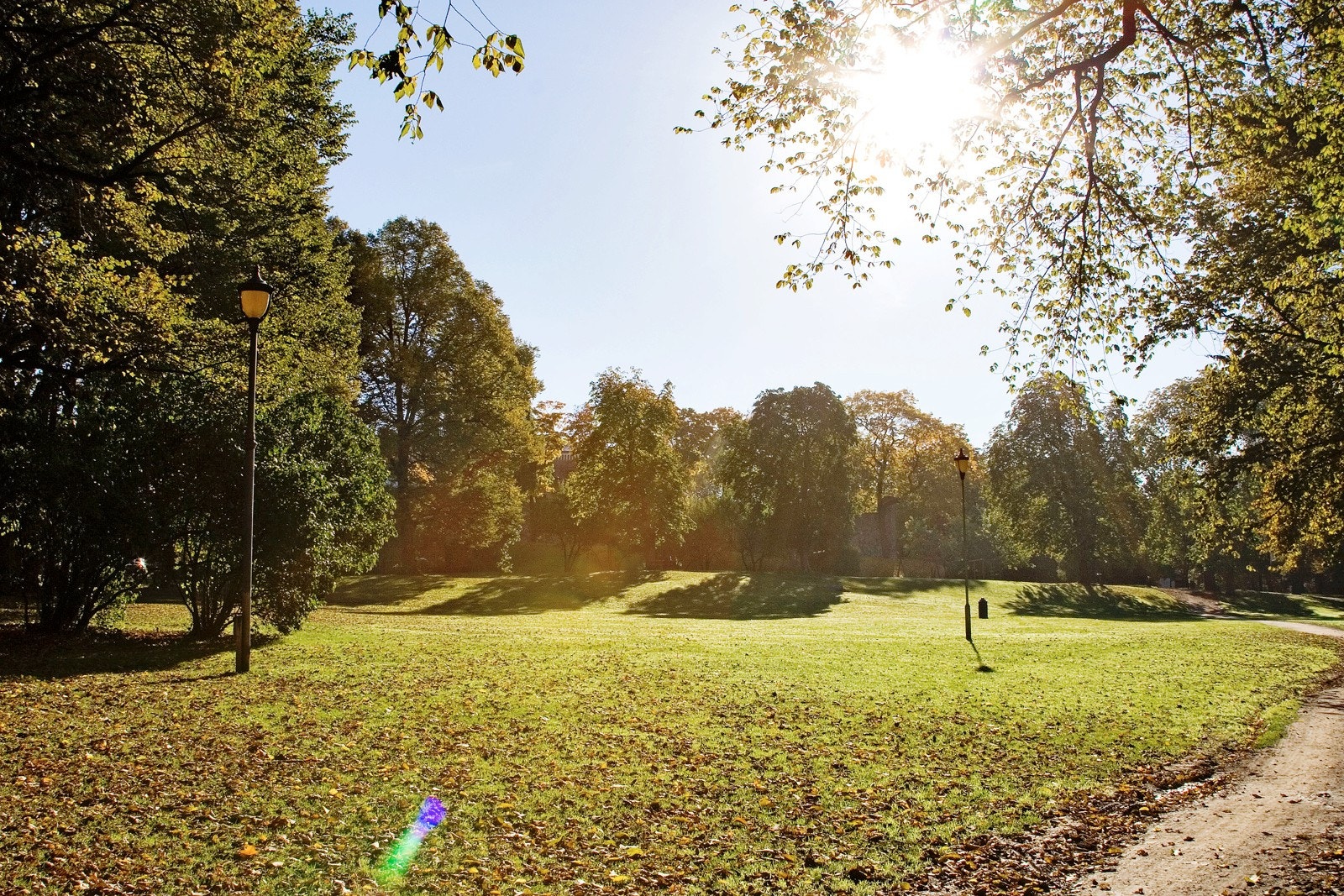 Grønland har mange flotte parker og grønne lunger. Galleribilde