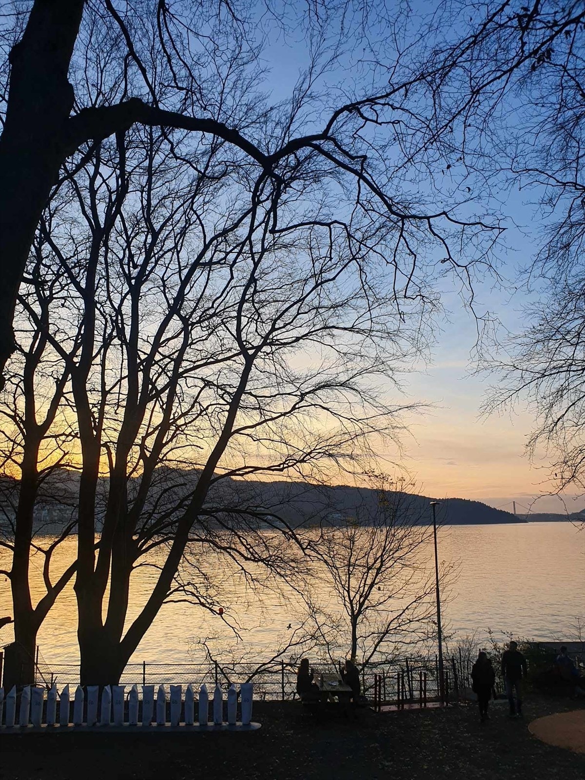 Privat bilde - Nordnesparken Galleribilde