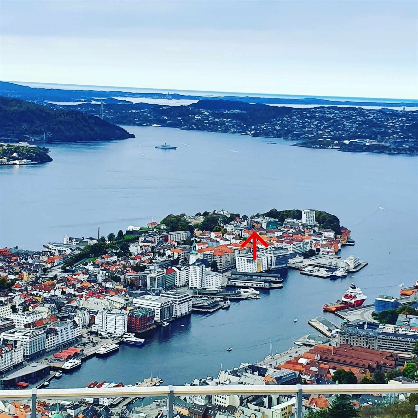 Privat bilde - Nordnespynten sett fra Fløyen Galleribilde