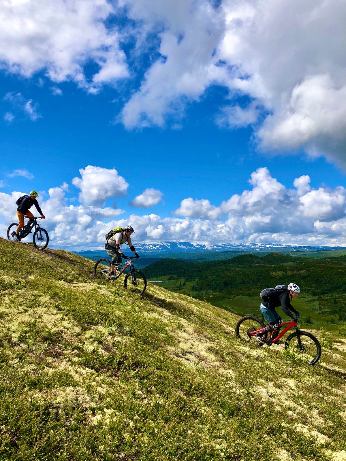 Topptur til mektige Reineskarvet 1791 moh. er å anbefale, samt sykkelturer langs Fatnitullvegen mellom Ål og Hemsedal. Foto: Brye Foto Galleribilde