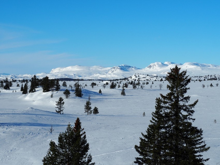 Se skisporet der hytta er markert: https://www.skisporet.no/map/60.71984523052936/8.432038097222659/13.0/marker?markerType=b64&markerDesc= Galleribilde