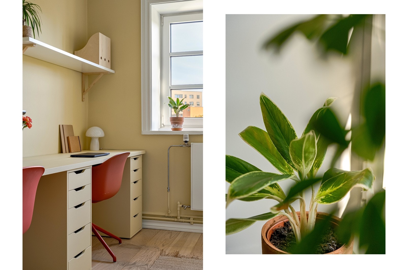 Hjemmekontor med frodig utsikt er ikke feil. Galleribilde