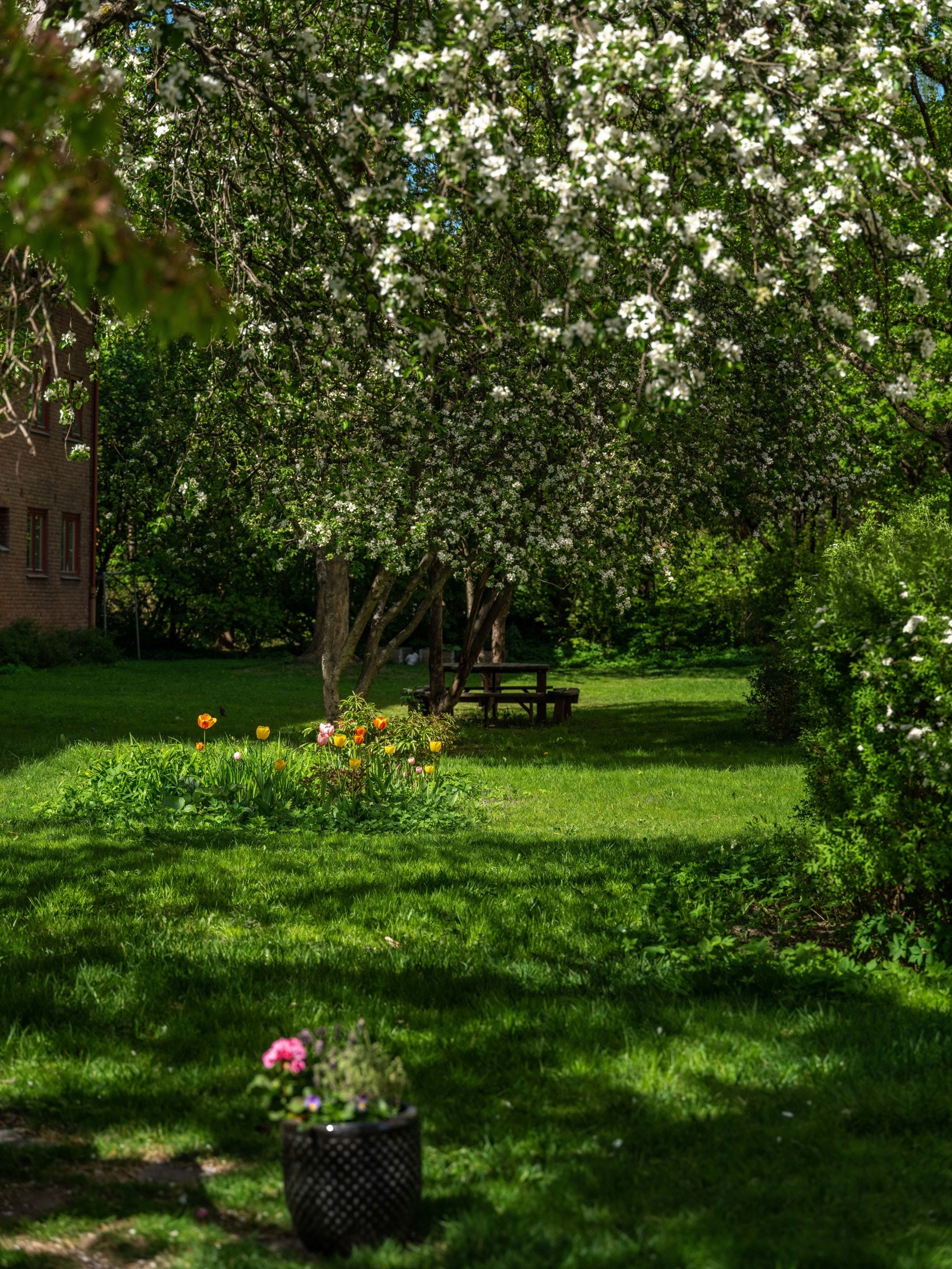 Leiligheten vender i sin helhet mot grøntområder. Galleribilde