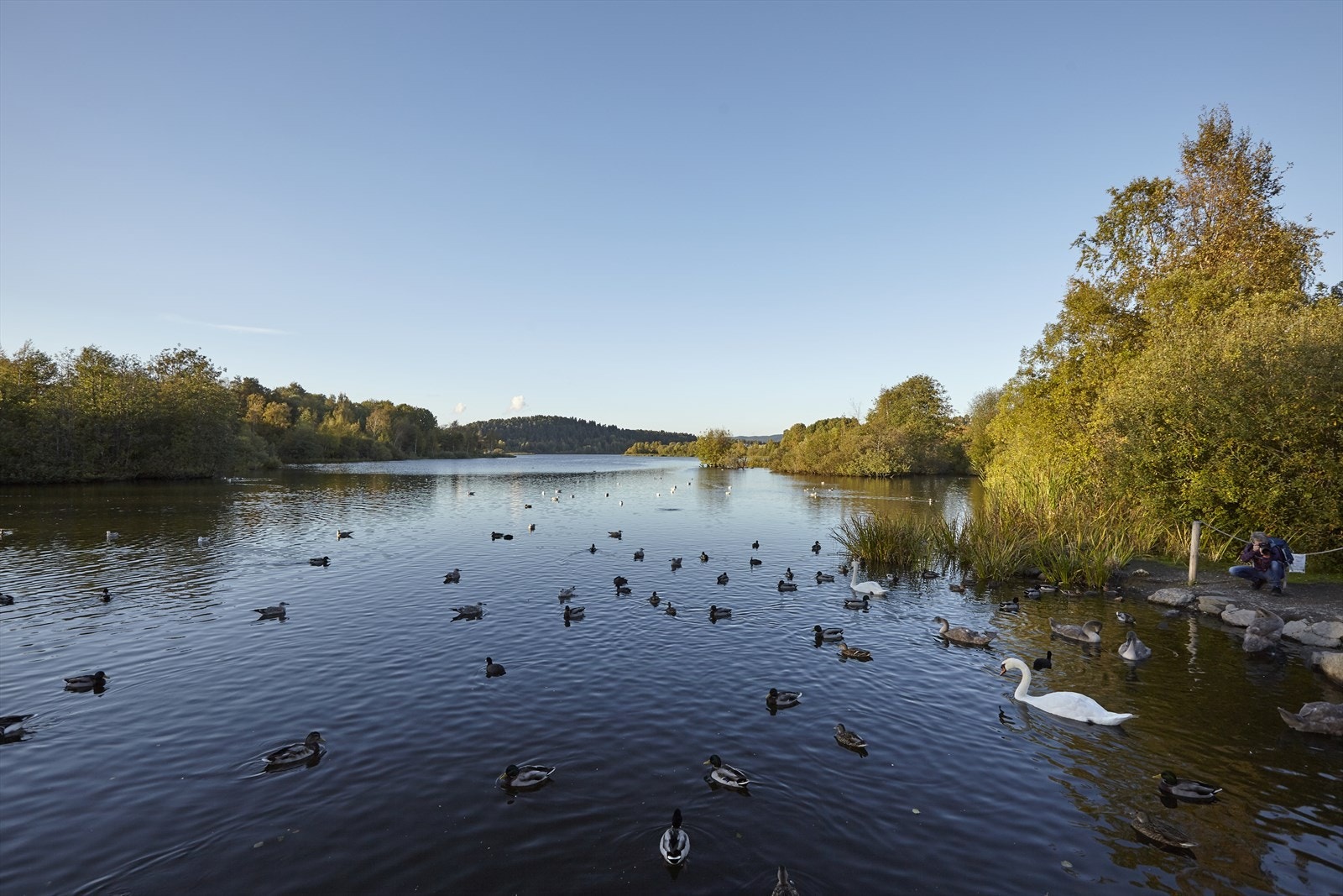 Nydelige Østensjøvannet ligger rett i nærheten. Galleribilde