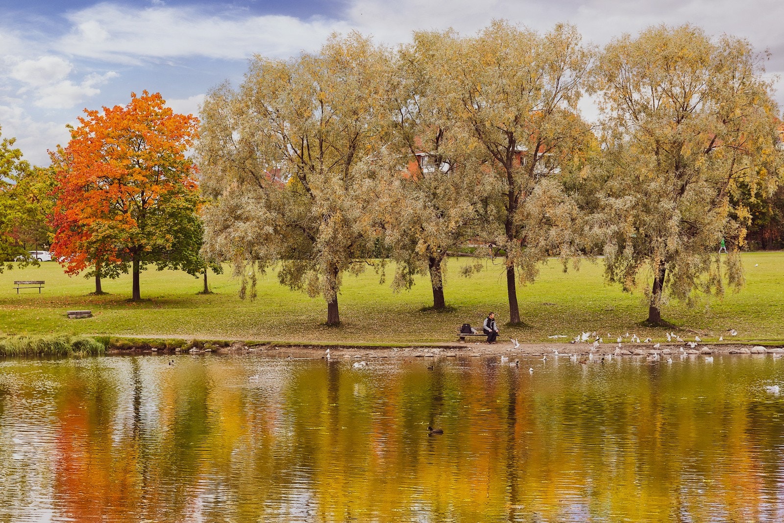 Nærområde - Hovindammen. Galleribilde