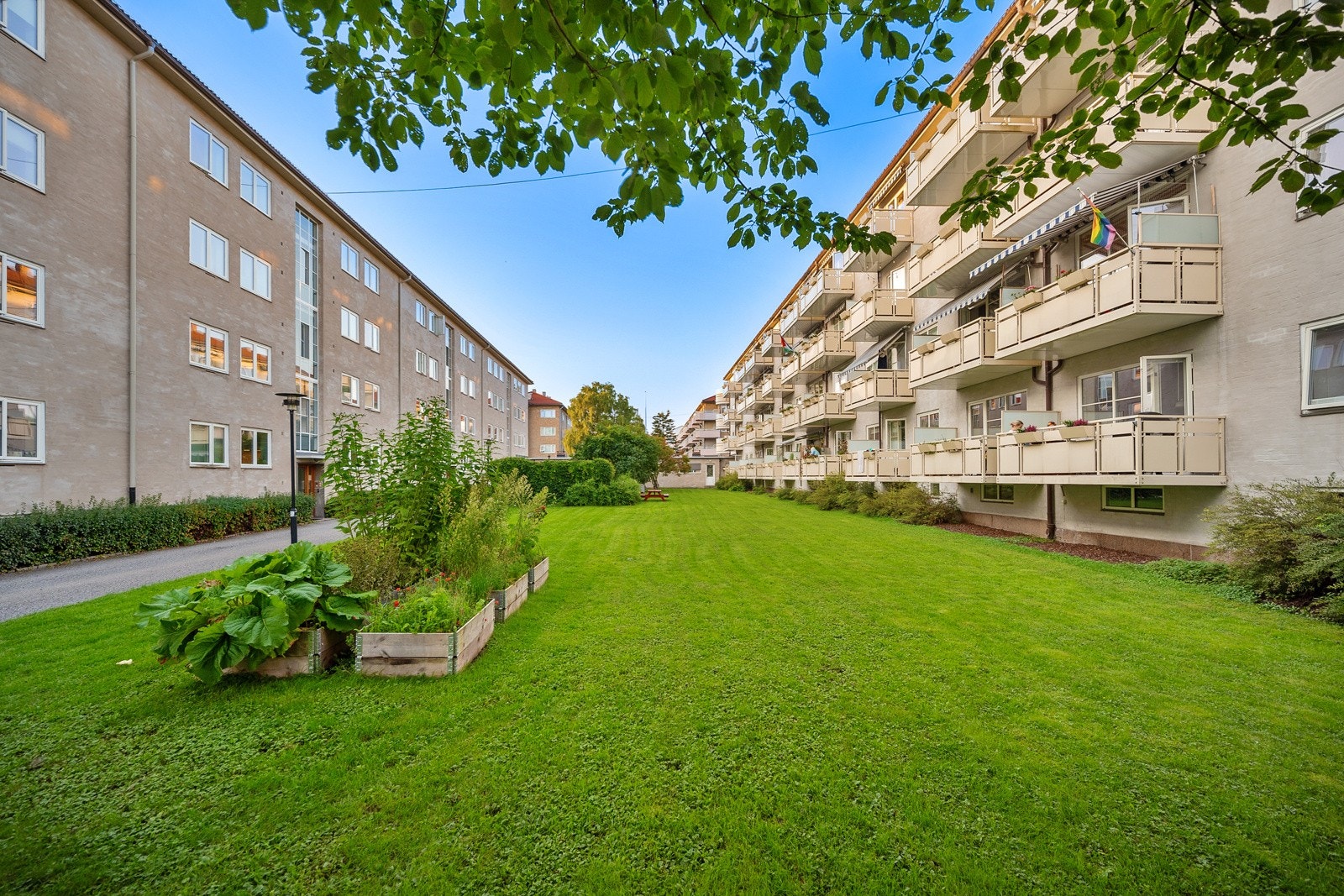 Sameiet har store, parkmessige fellesarealer med beplantning og sittegrupper. Galleribilde