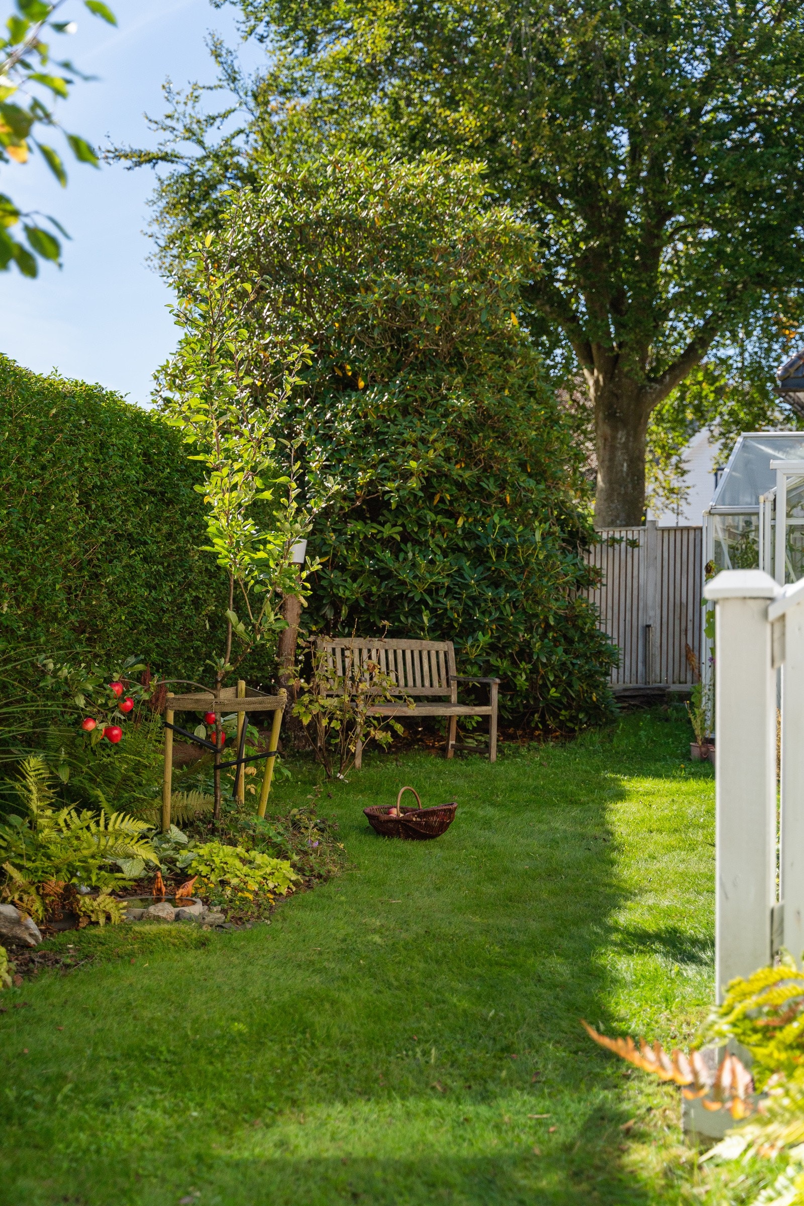 Detalj - hage. Galleribilde