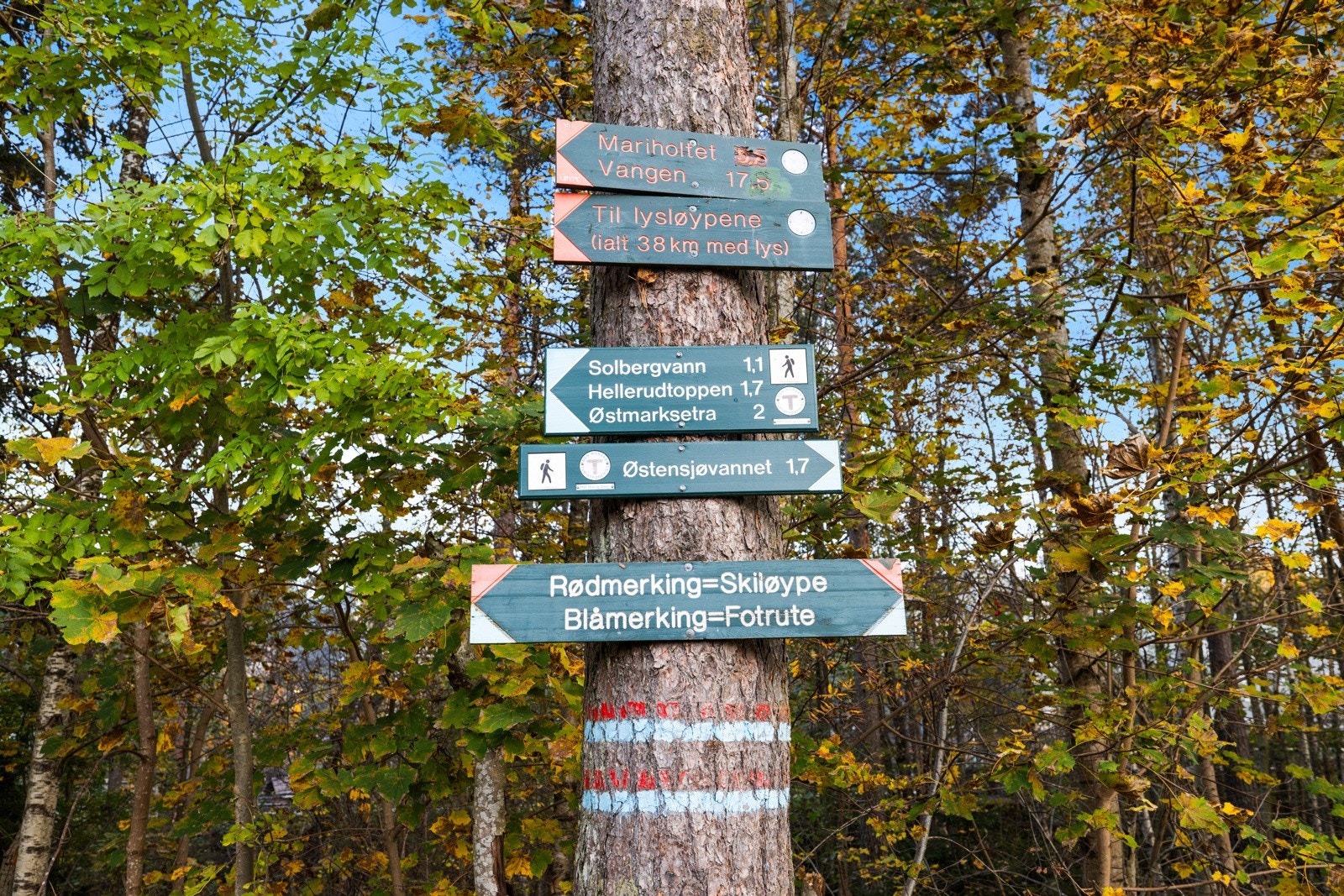 Østmarka har også et mylder av turmuligheter, enten man er til fots, sykkel eller på ski Galleribilde