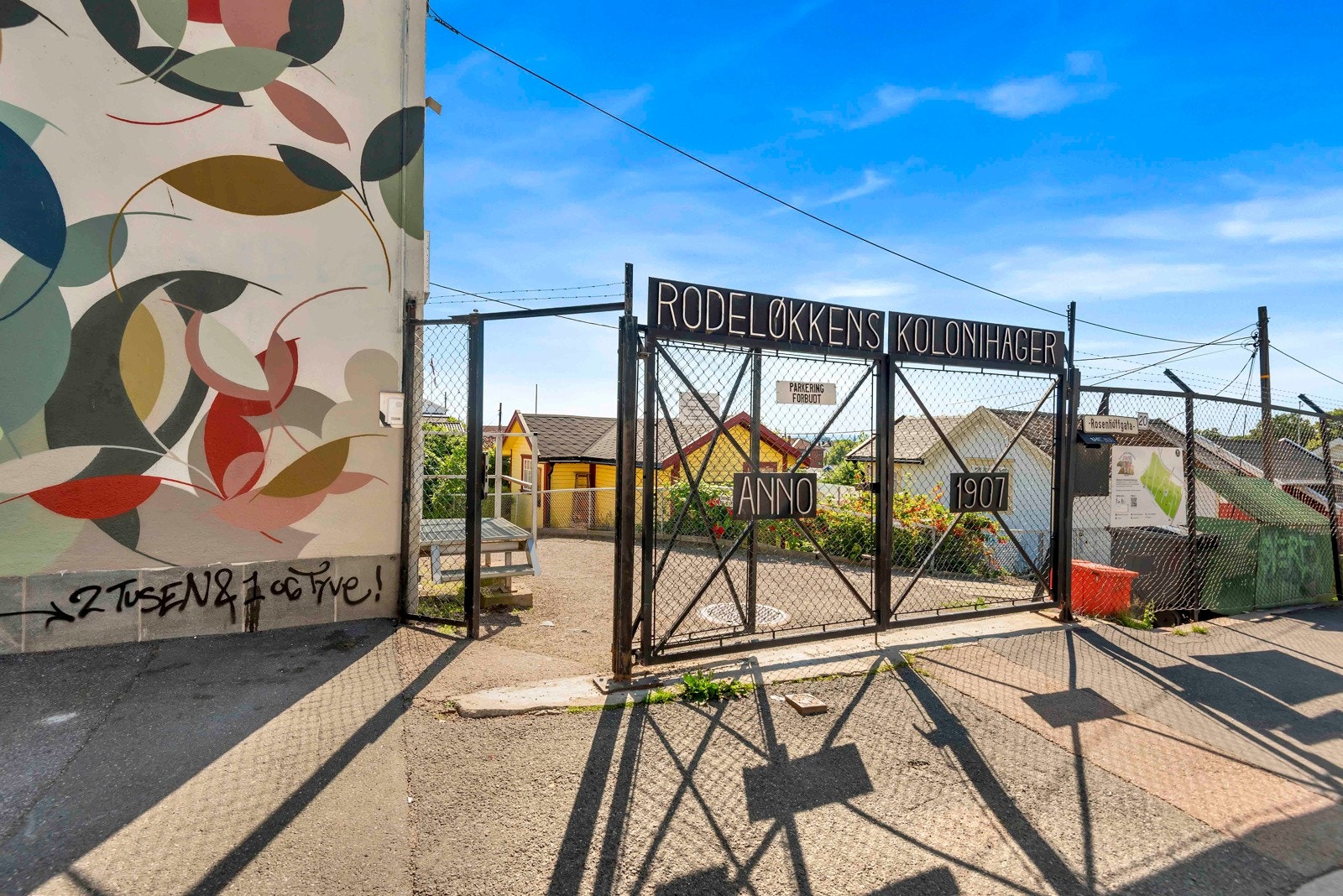 Kolonihagen på Rodeløkka. Galleribilde