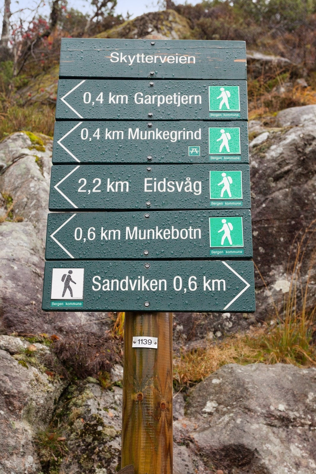 Nærområdet - Kort gangvei (og snarvei opp til Øyjorden), med flotte turmuligheter i byfjellene Galleribilde