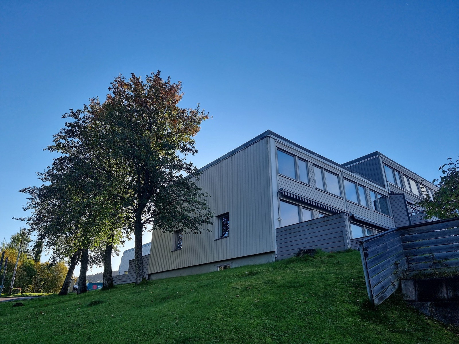 Selgers bilde. Galleribilde