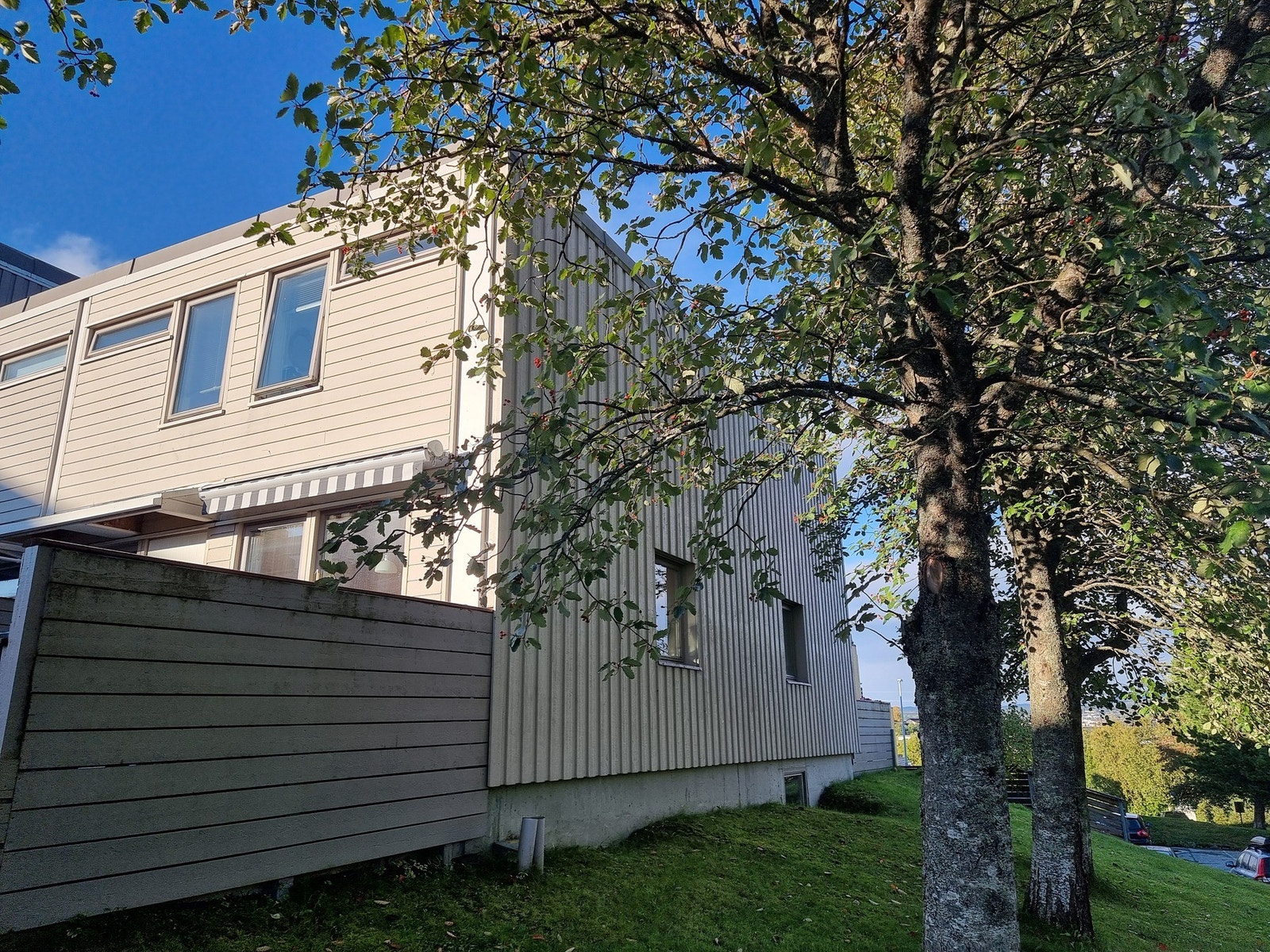 Selgers bilde. Galleribilde