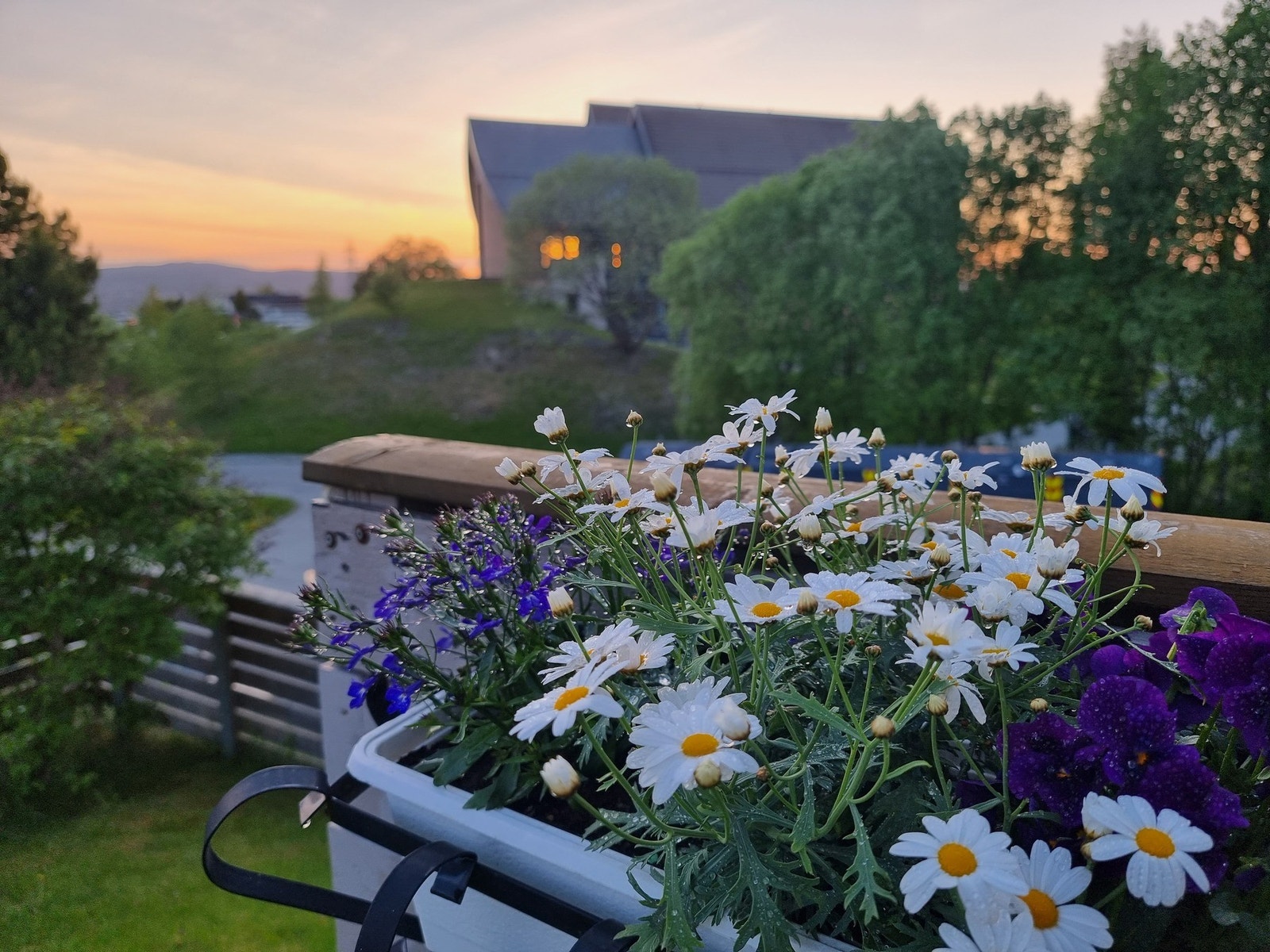 Selgers bilde. Galleribilde