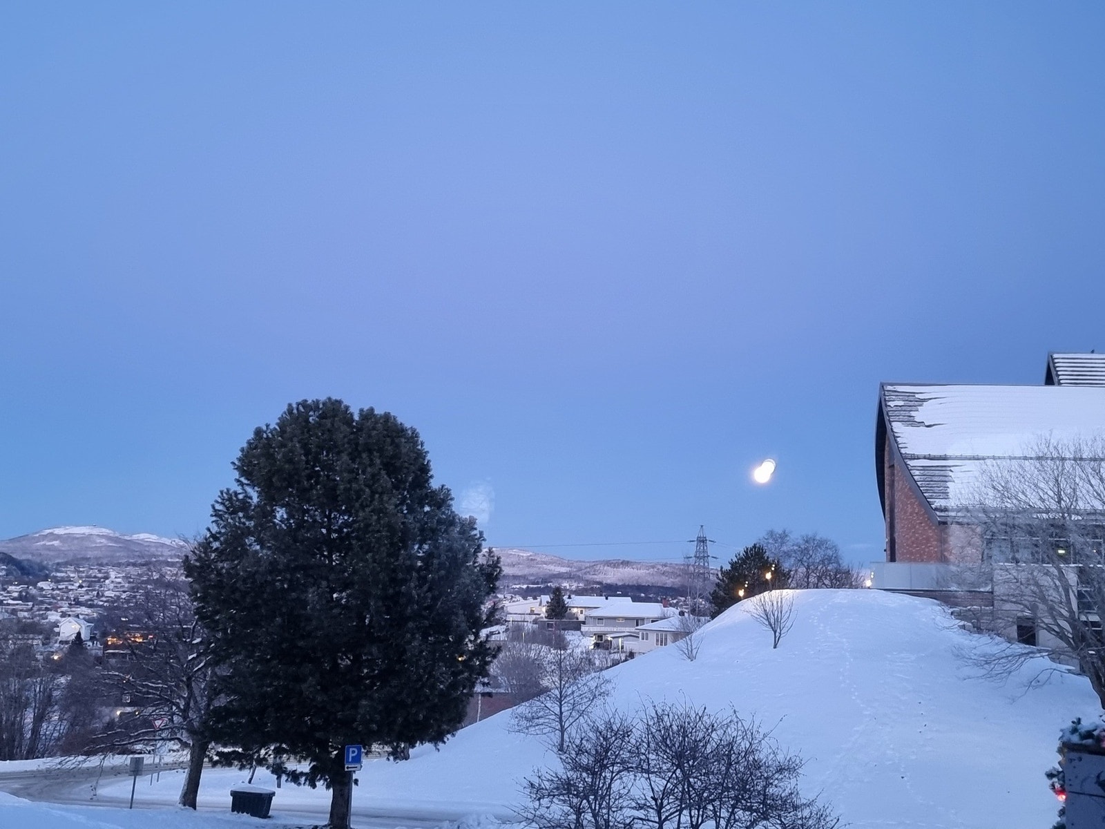 Selgers bilde. Galleribilde