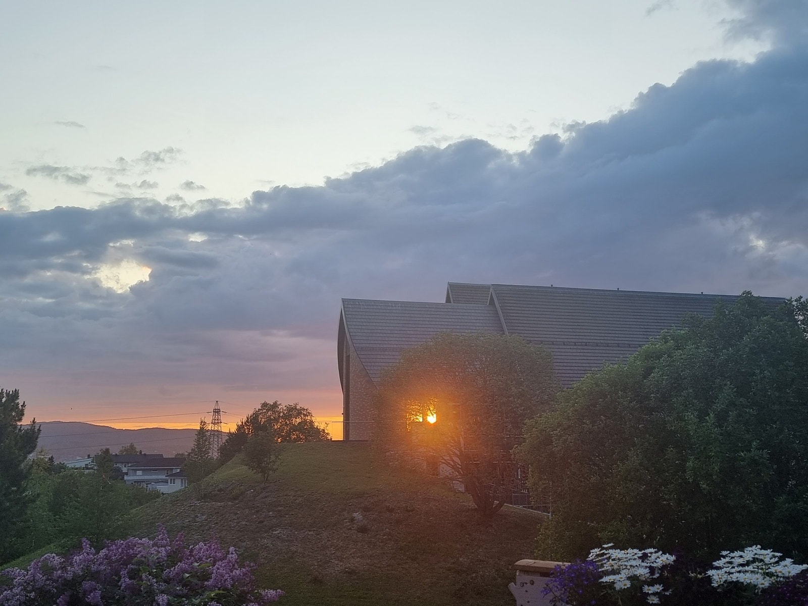 Selgers bilde. Galleribilde