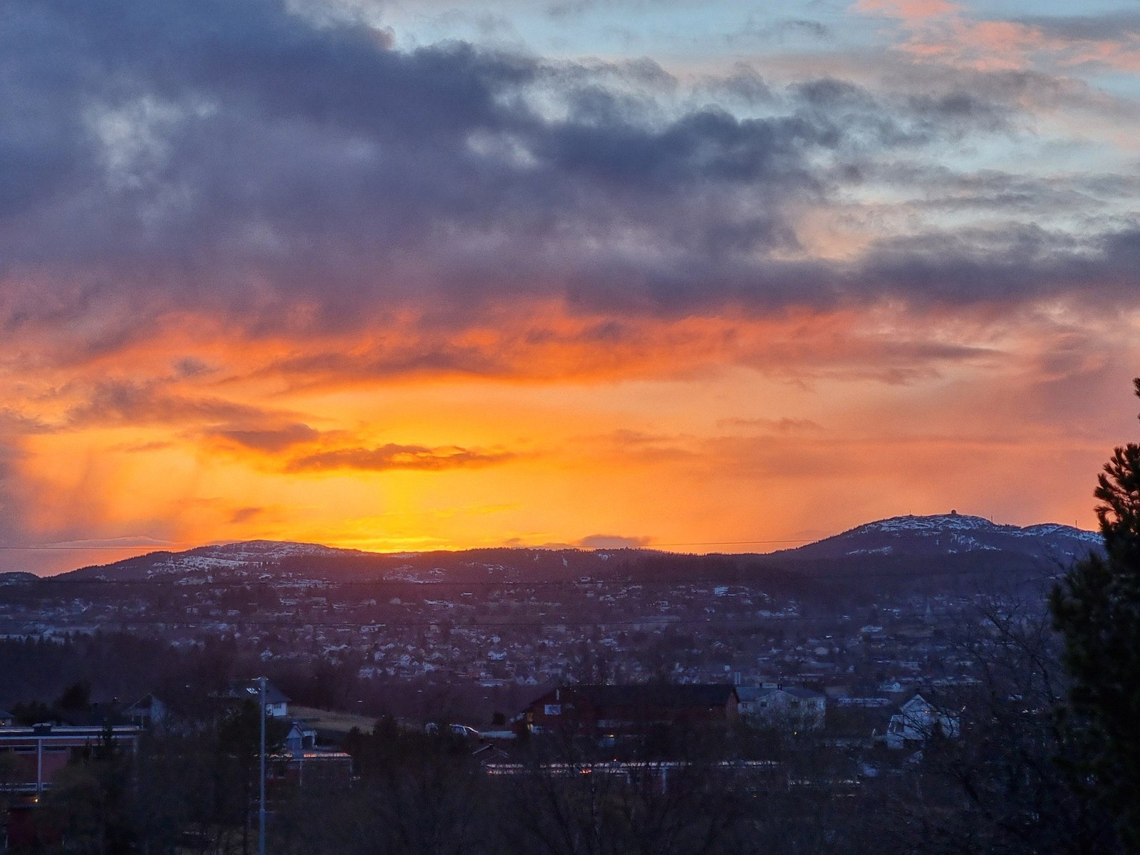 Selgers bilde. Galleribilde