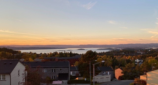 Selgers private bildet Galleribilde