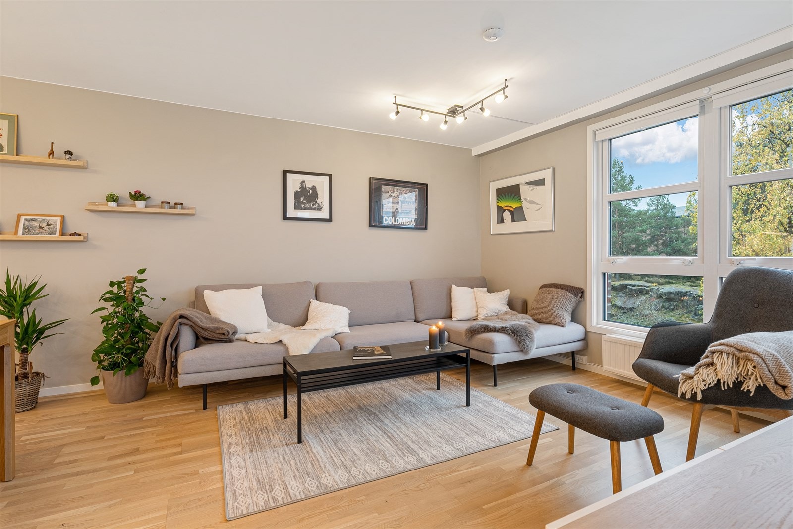 Store vinduer slipper inn naturlig lys Galleribilde