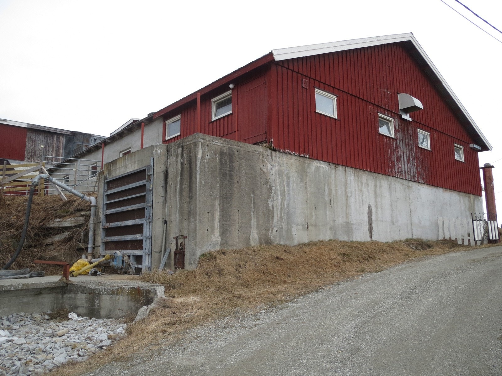 Fjøs Galleribilde
