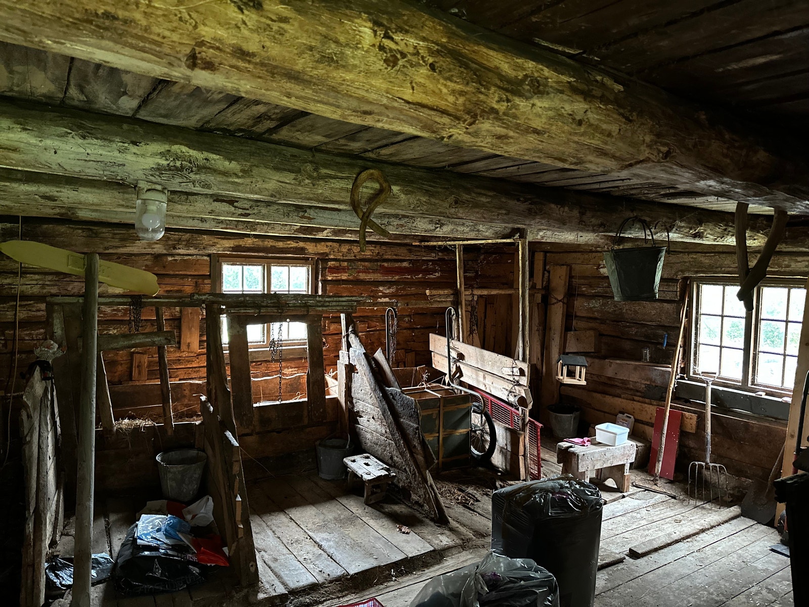 Fjøs (innv). Galleribilde
